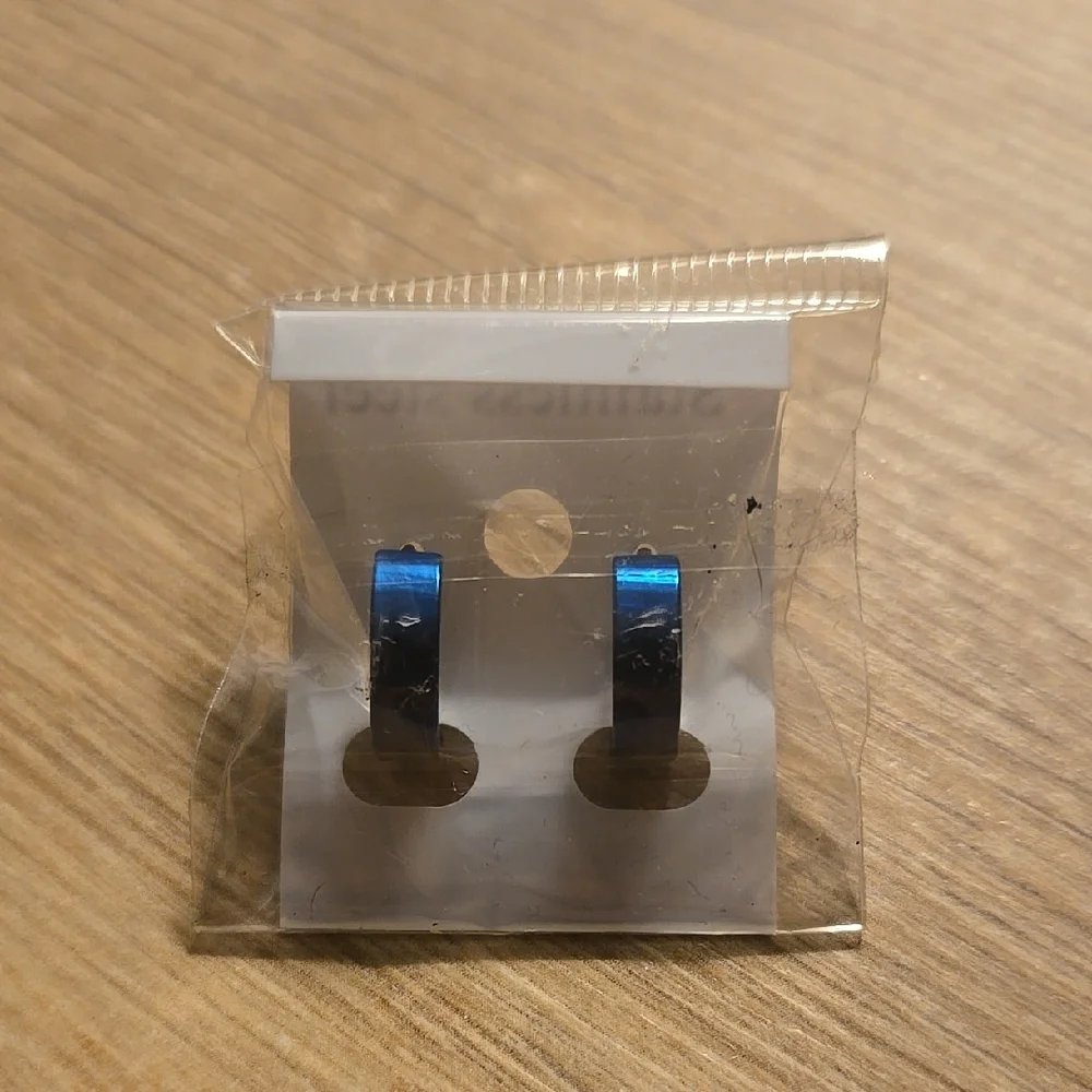 Stainless Steel Blue Earrings